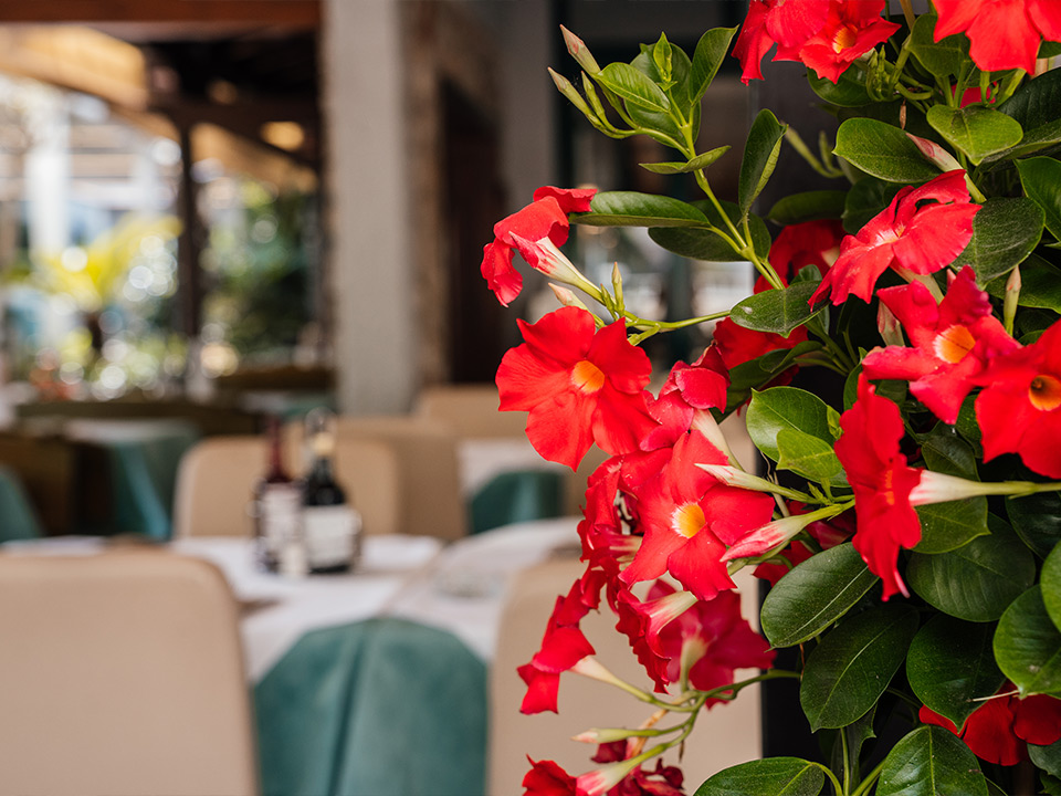 Immagine galleria 8 "Pineda" - Ristorante e pizzeria | Bibione